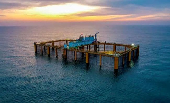 Lồng nuôi trồng thủy sản biển sâu