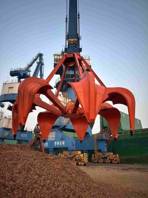Gầu ngoạm nhiều cánh