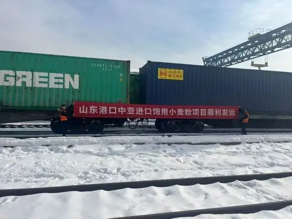 山东港口集团从中国中亚进口饲料级小麦粉